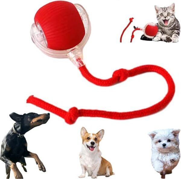 Interactive Dog Ball