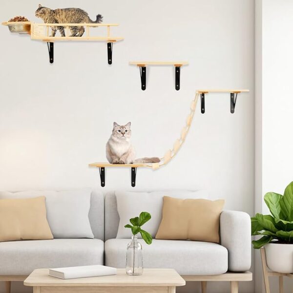 Cat Wall Furniture