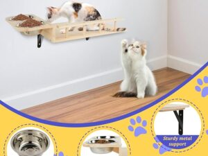 Cat Wall Furniture