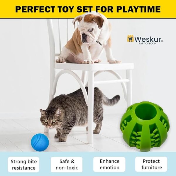 Dog Chew Toy Set