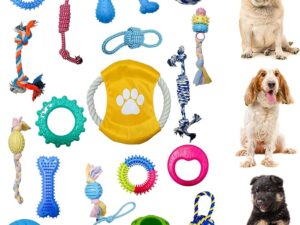 Dog Chew Toy Set