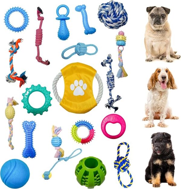 Dog Chew Toy Set