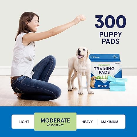 Dog Training Pads