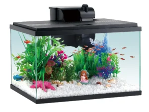 Fish Tank Starter Kit