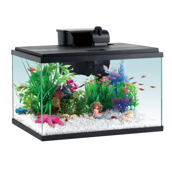 Fish Tank Starter Kit