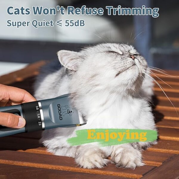 Grooming Kit for Cats