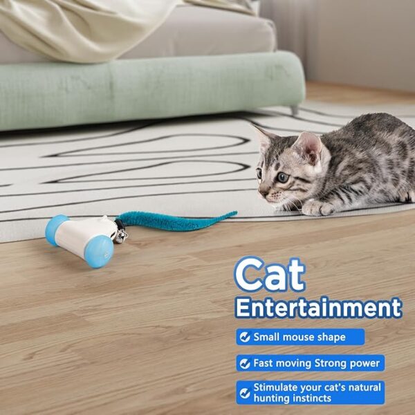 Interactive Cat Toys for Indoor Cats