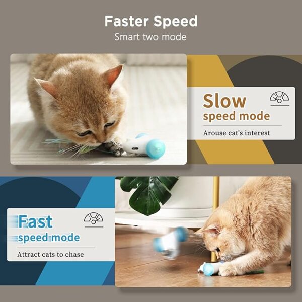 Interactive Cat Toys for Indoor Cats