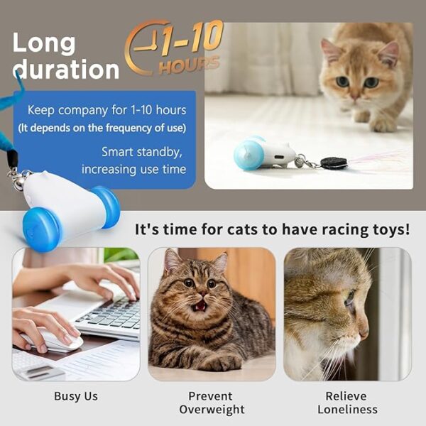 Interactive Cat Toys for Indoor Cats