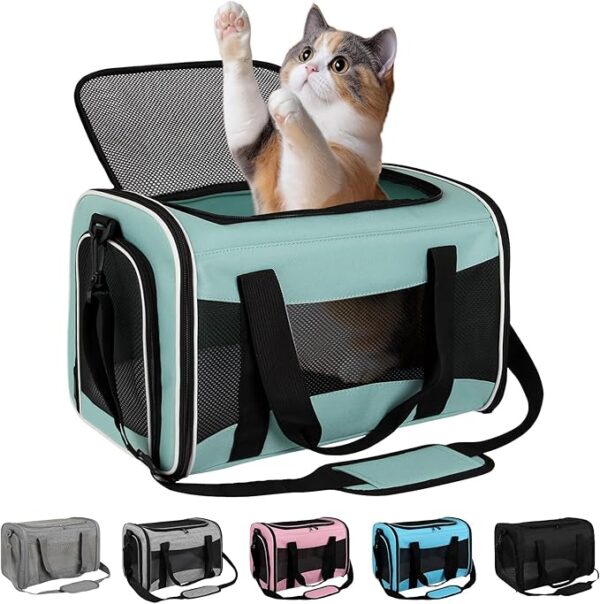 Pet Travel Carrier