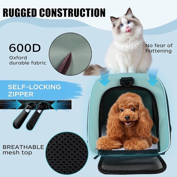 Pet Travel Carrier