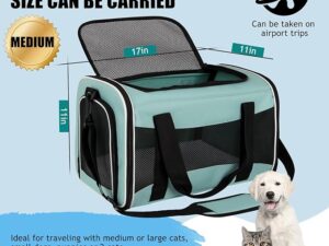 Pet Travel Carrier