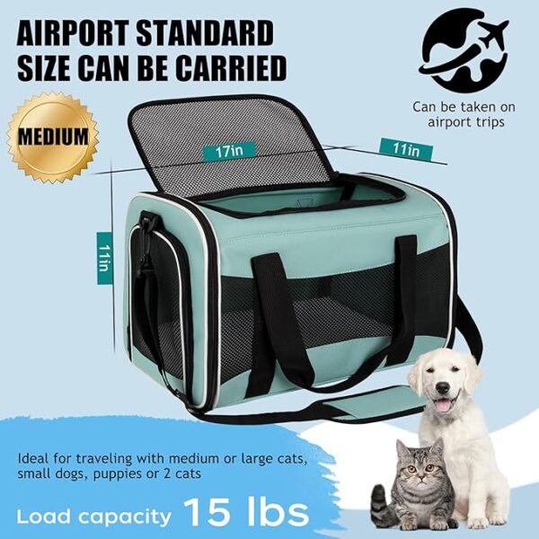 Pet Travel Carrier