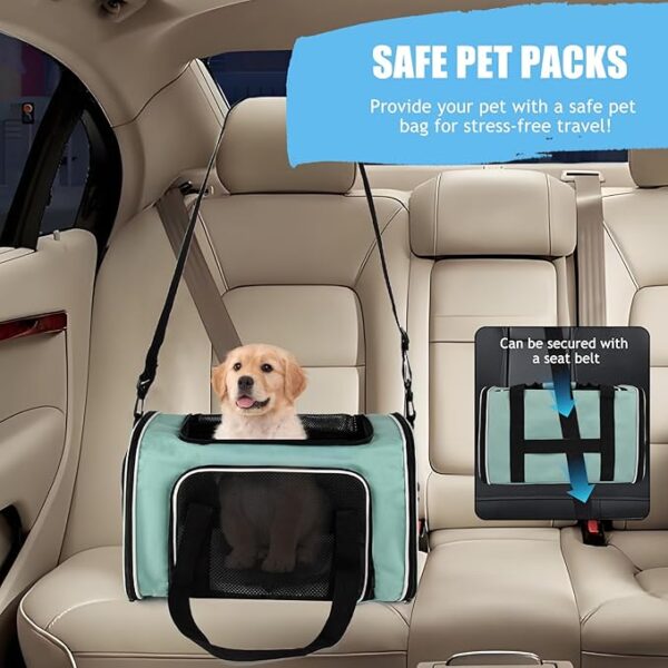 Pet Travel Carrier