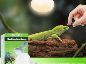 Reptile Heat Lamp