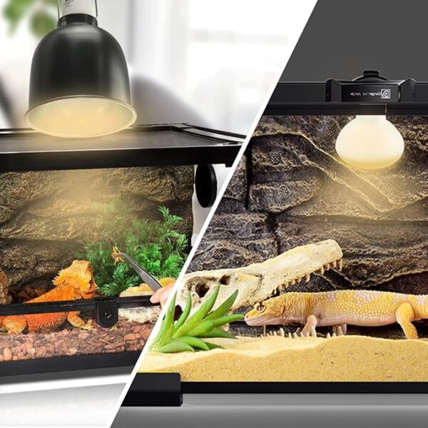 Reptile Heat Lamp