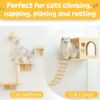 Wooden Cat Furniture
