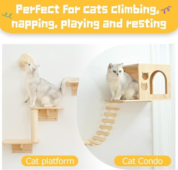 Wooden Cat Furniture