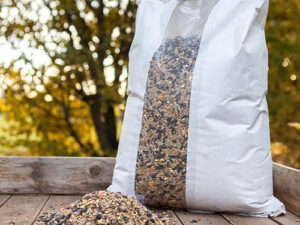 bird seed mix