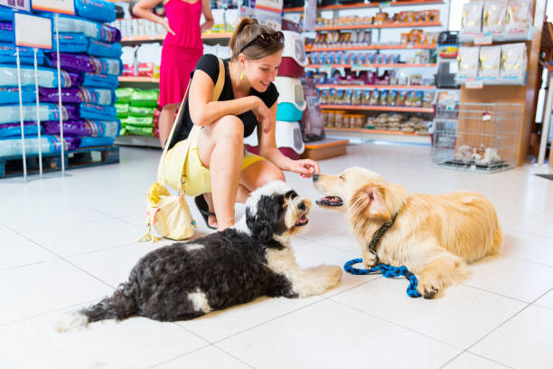 Cute Golden retriever and Tibetan terrier in pet store with his cute woman owner